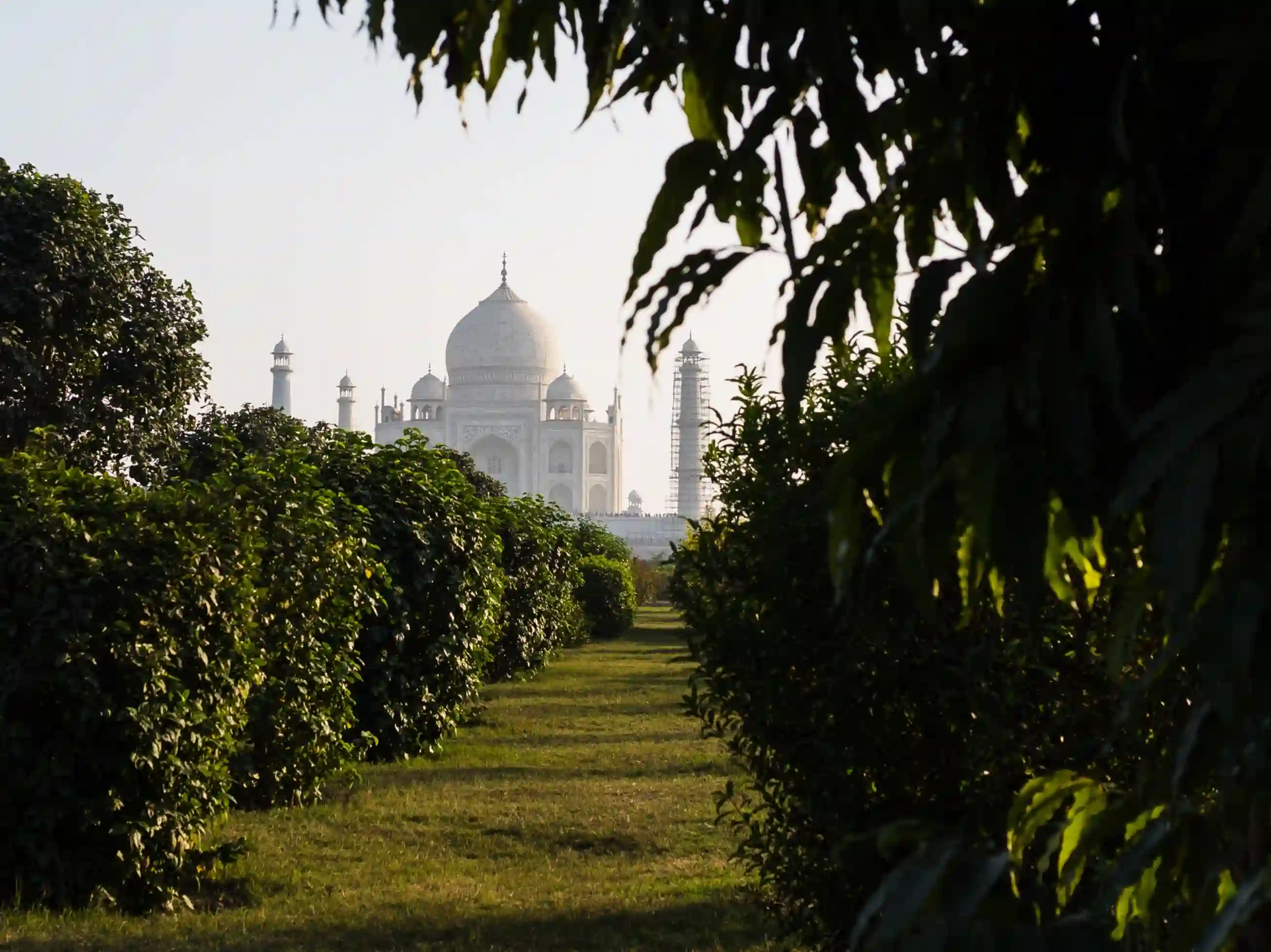 Taj Mahal Sunrise tour from Delhi